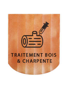traitement charpentes bois couvreur 31